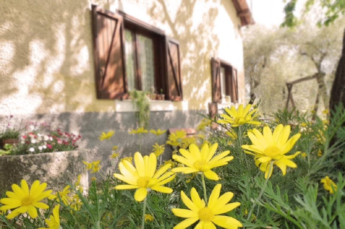 Agriturismo Macchiapiede 살라 콘실리나 외부 사진